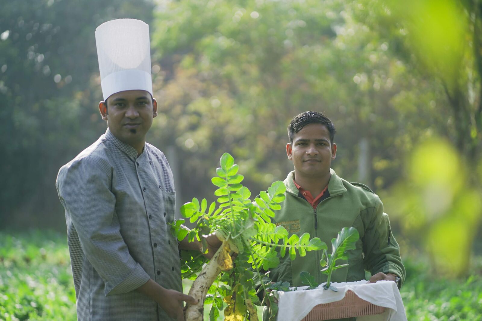 Chef and gardener holding freshly harvested vegetables